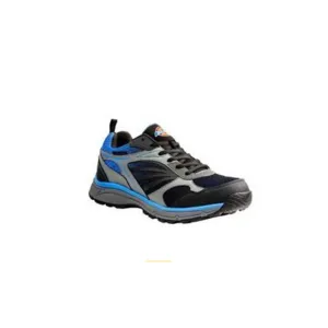 Sale On DICKIES Footwear for Men and Women