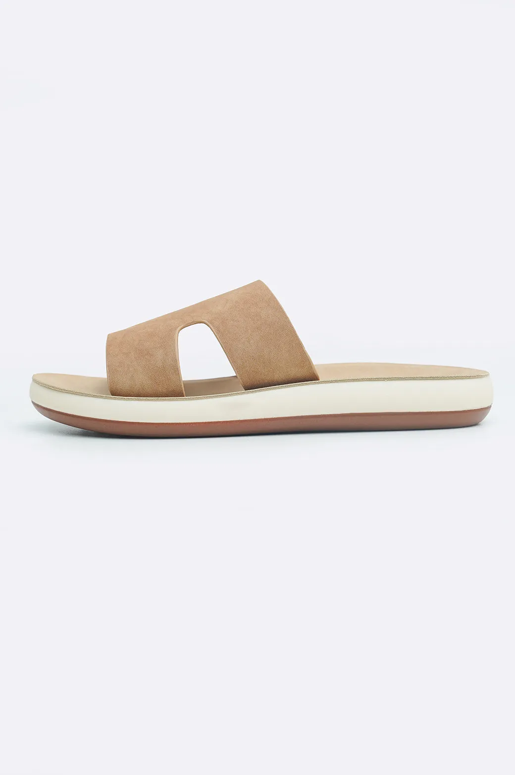 THE SQUIDGY SLIDES